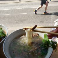 Phở đặc biệt (tái, nạm, gầu, gân, bò viên)